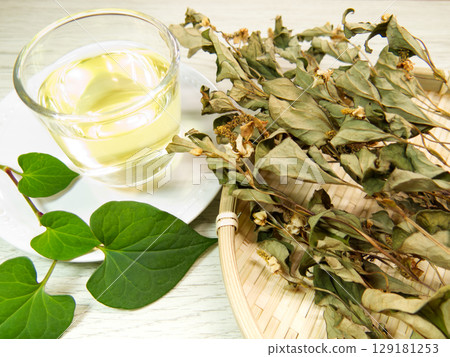 Houttuynia cordata tea and fresh leaves 129181253