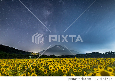 The Milky Way rising over Mount Fuji from the sunflower fields of Hananomiyako Park in Yamanakako Village 129181647