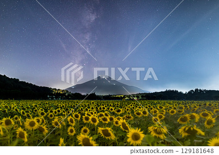 The Milky Way rising over Mount Fuji from the sunflower fields of Hananomiyako Park in Yamanakako Village The Milky Way rising over Mount Fuji from the sunflower fields of Hananomiyako Park in Yamanakako Village 129181648