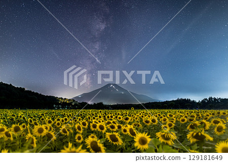 The Milky Way rising over Mount Fuji from the sunflower fields of Hananomiyako Park in Yamanakako Village The Milky Way rising over Mount Fuji from the sunflower fields of Hananomiyako Park in Yamanakako Village 129181649