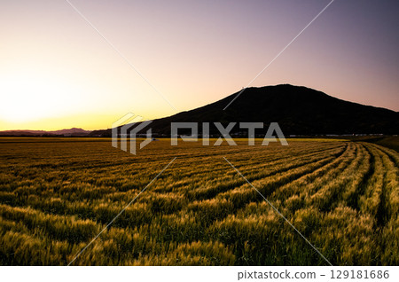 Chikushi Fuji dyed in the sunset 129181686