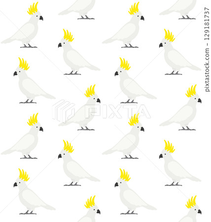 Vector seamless pattern of flat cockatoo parrot 129181737