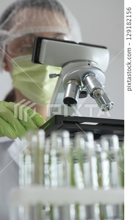 Close up of scientific precision involving green gloved hands adjusting microscope lens, blurred laboratory glassware highlighting medical investigation. Medicine, laboratory and science concept Close up of scientific precision involving green gloved hands adjusting microscope lens, blurred laboratory glassware highlighting medical investigation. Medicine, laboratory and science concept 129182156