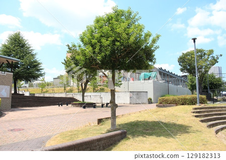 I took a photo of the park square and the big tree. 129182313