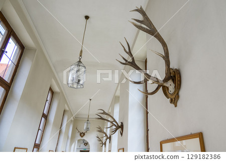Munich Residenz, former royal palace of the Wittelsbach monarchs of Bavaria, with large art collection, in Munich, Germany 129182386