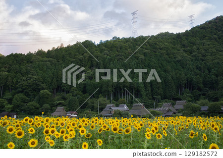 Mountain Kyoto: Miyama Kayabuki Village and Sunflower Fields 19 Mountain Kyoto: Miyama Kayabuki Village and Sunflower Fields 19 129182572