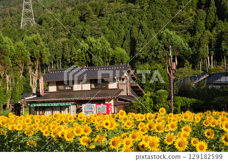 Mountain Kyoto: Kayabuki Village's sunflower fields and shops 129182599