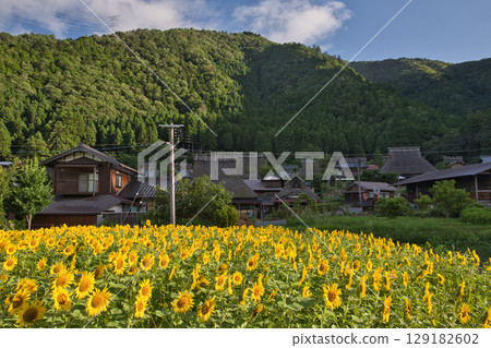 Mountain Kyoto: Miyama Thatched Village and Sunflower Fields 23 Mountain Kyoto: Miyama Thatched Village and Sunflower Fields 23 129182602