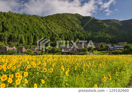 Mountain Kyoto: Miyama Thatched Village and Sunflower Fields 27 129182660