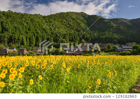 Mountain Kyoto: Miyama Kayabuki Village and 30 Sunflower Fields Mountain Kyoto: Miyama Kayabuki Village and 30 Sunflower Fields 129182663
