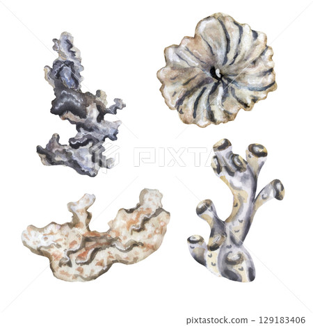 Coral reef set in monochrome watercolor 129183406