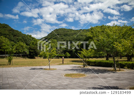 Photo material: Sky in the park Photo material: Sky in the park 129183499