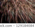 Fireworks (soft) 129184084
