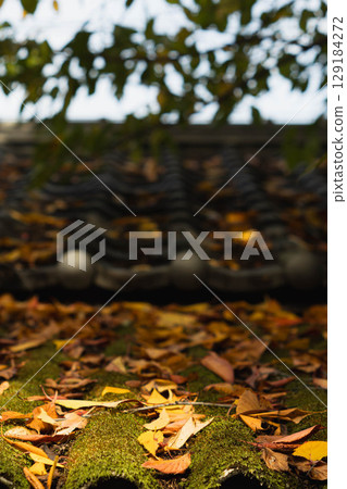 The end of autumn The end of autumn 129184272