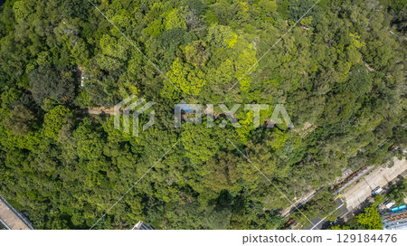Aug 1 2025 Lush Green Belt Along Nam Shan Chuen Road 129184476