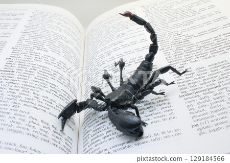 Black Scorpion on Open Book Highlighting Words and Concepts 129184566
