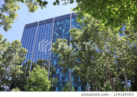 Cityscape scene with skyscrapers surrounded by blue sky and green leafy trees Cityscape scene with skyscrapers surrounded by blue sky and green leafy trees 129184583