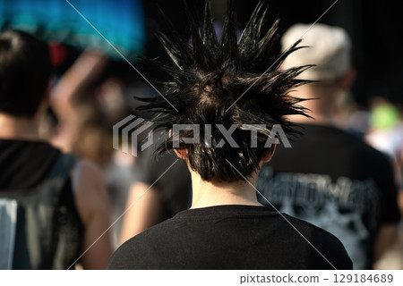 Spiked Black Hair Visible in Outdoor Punk Rock Concert Scene 129184689