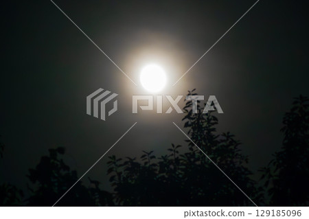 邪惡之夜 邪惡之夜 129185096