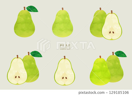 Pear watercolor illustration material set (vector version) Pear watercolor illustration material set (vector version) 129185106