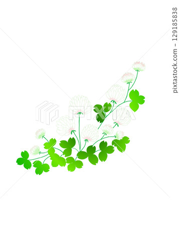三葉草花束 129185838