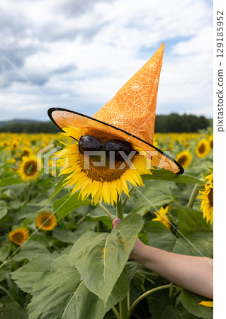 Sunflower Wearing Sunglasses and a Hat in a Vibrant Field on a Cloudy Day 129185952