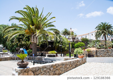 A streetscape with white-walled buildings and large palm trees in bright sunlight in Betancuria, Fuerteventura 129186366