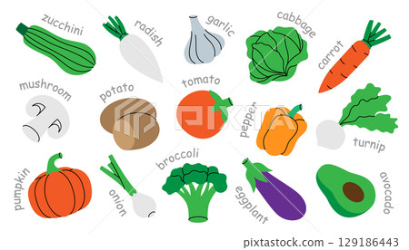 Colorful vegetables with names. Healthy eating, vegan food and organic lifestyle concept. Organic farm vegetables. Colorful vegetables with names. Healthy eating, vegan food and organic lifestyle concept. Organic farm vegetables. 129186443