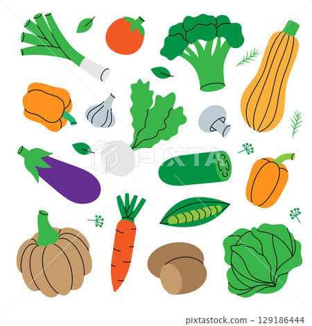 Fresh vegetables. Healthy eating. Carrot, tomato, garlic, mushroom, bell pepper, pumpkin, broccoli, cabbage, zucchini, onion, radish, eggplant. 129186444