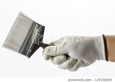 Hand wearing rubber glove holds paintbrush against white background, showcasing clean and professional painting tool 129186605