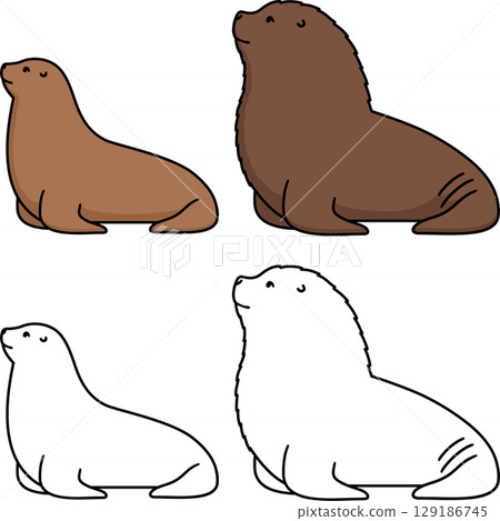 Male and female sea lion cartoon drawing 129186745