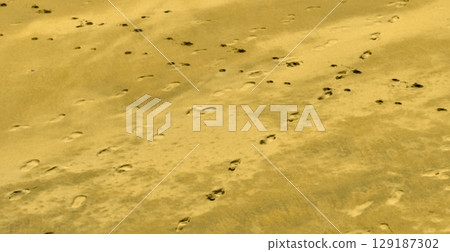 crossed footprints in the sand crossed footprints in the sand 129187302