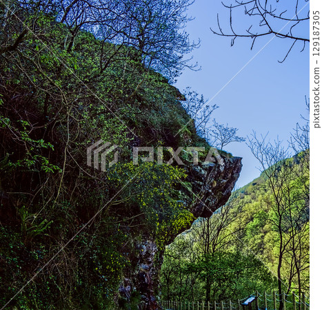 rocks with strange shapes (pig's head) rocks with strange shapes (pig's head) 129187305