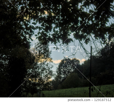 green fenced meadow 129187312