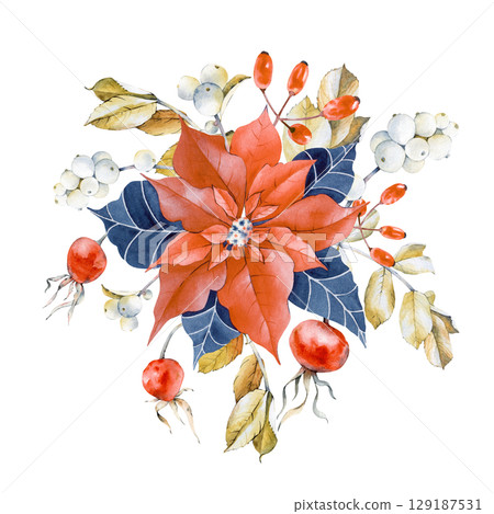 Christmas illustration with poinsettia, branches, leaves, rosehip and snowberry fruits. Festive composition in blue, red and ochre colors. Isolated on a white background. All the elements are painted Christmas illustration with poinsettia, branches, leaves, rosehip and snowberry fruits. Festive composition in blue, red and ochre colors. Isolated on a white background. All the elements are painted 129187531