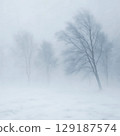 Winter forest covered in a blizzard. Natural phenomenon of a severe snow storm. 129187574