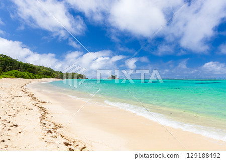 Tranquil Sandy Beach with Turquoise Waters and Blue Sky 129188492