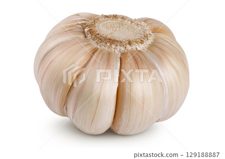 unpeeled whole garlic isolated on white background close up 129188887