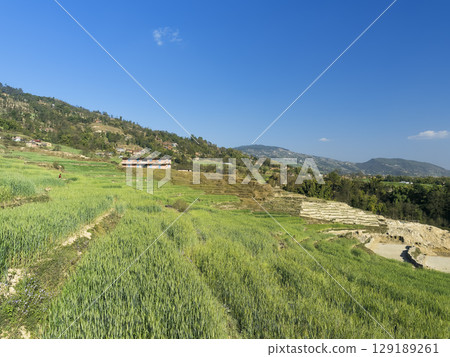 Rural landscape in Kathmandu Valley, Nepal Rural landscape in Kathmandu Valley, Nepal 129189261