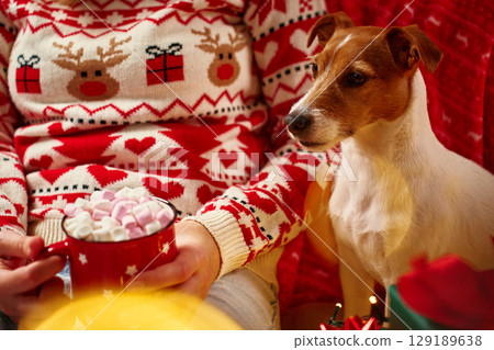 Woman wearing Christmas sweater holding mug of hot chocolate with marshmallows, her Jack Russell Terrier dog sitting near wrapped gifts and glowing lights. Cozy Christmas scene at home 129189638