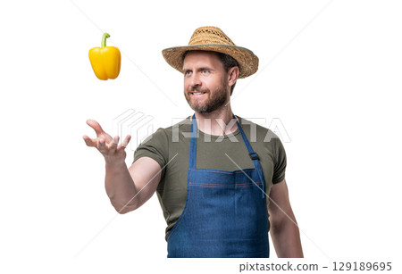 harvester in apron and hat with sweet pepper vegetable isolated on white 129189695