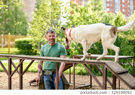 Man training his dog at an outdoor agility course on a sunny day Man training his dog at an outdoor agility course on a sunny day 129190092