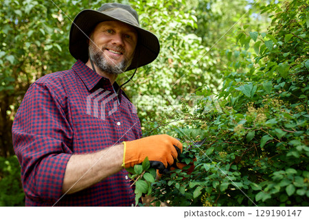 Smiling man gardening among lush greenery while holding pruning shears and wearing gloves Smiling man gardening among lush greenery while holding pruning shears and wearing gloves 129190147