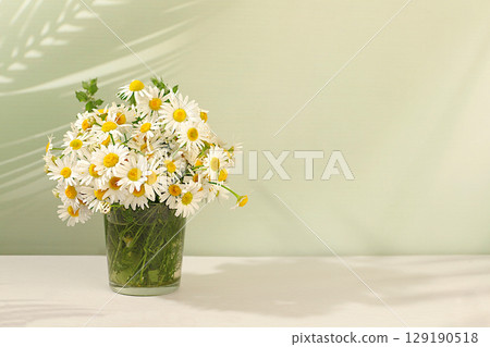 Still life with small chamomile flowers in vase on elegant modern background, summer product advertising banner, abstract floral arrangement, holiday greeting card with space for text 129190518