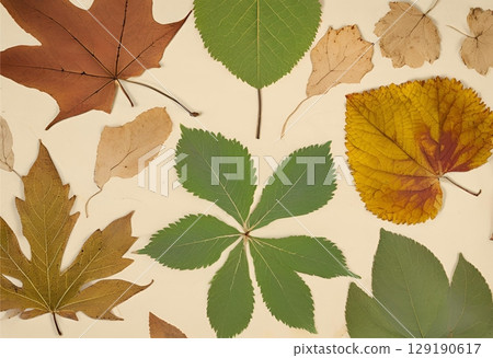 Dried leaf turned brown with natural aging.AI Generated 129190617