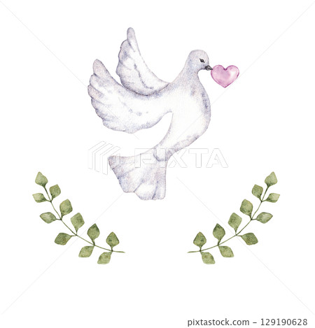 Flying dove holding a pink heart decorated with green branches. Hand drawn. Watercolor illustration. For first communion, baptism greeting cards, invitation, wedding card. Isolated 129190628