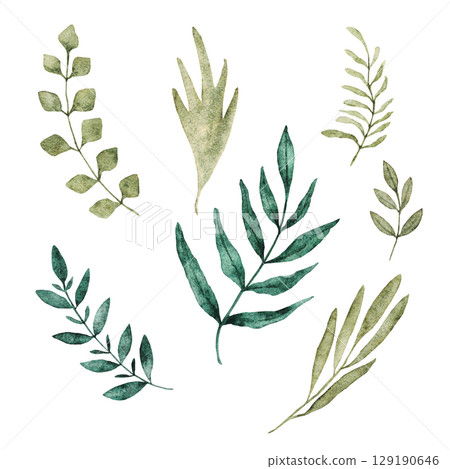 Watercolor set of branches with green leaves. Botanical elements. Hand drawn. Isolated on a white background. For first communion, birthday, wedding, baptism design 129190646