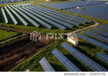 Vast solar panel field showcasing renewable energy 129191730