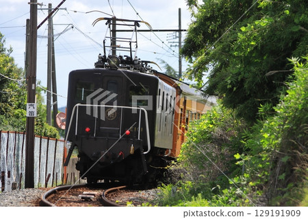Oigawa Railway EL Express train leisurely running along the nostalgic line_Photo taken on July 20, 2025 Oigawa Railway EL Express train leisurely running along the nostalgic line_Photo taken on July 20, 2025 129191909