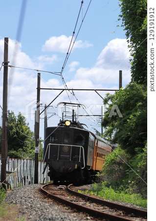 Oigawa Railway EL Express train leisurely running along the nostalgic line_Photo taken on July 20, 2025 129191912